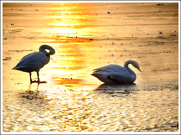 20131228ƽ½Ƭ 24.jpg