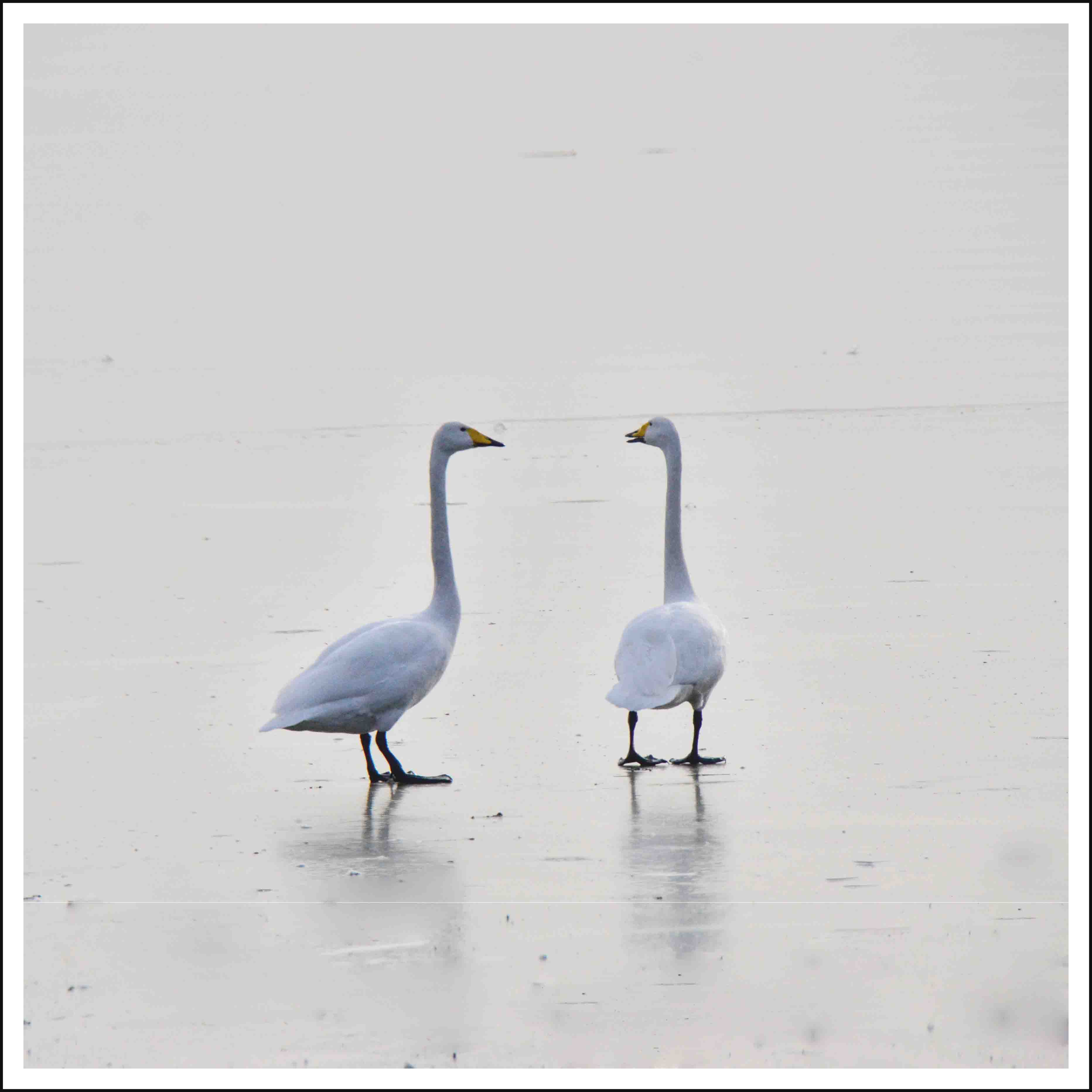 20131228ƽ½Ƭ 001.jpg