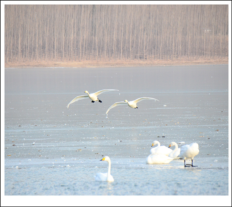 20131228ƽ½Ƭ 013.jpg