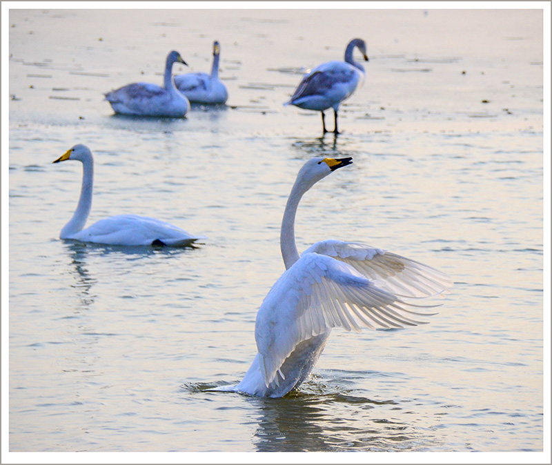 20131228ƽ½Ƭ 19.jpg