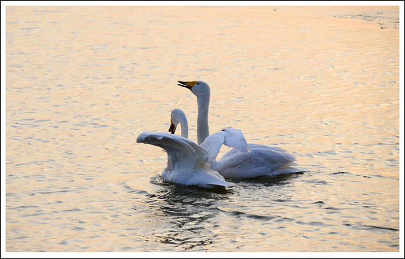 20131228ƽ½Ƭ 22.jpg