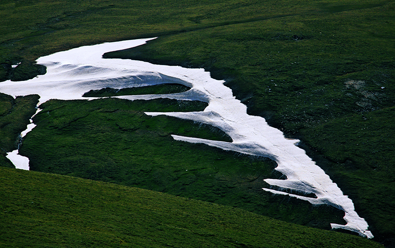 _MG_6792.JPG