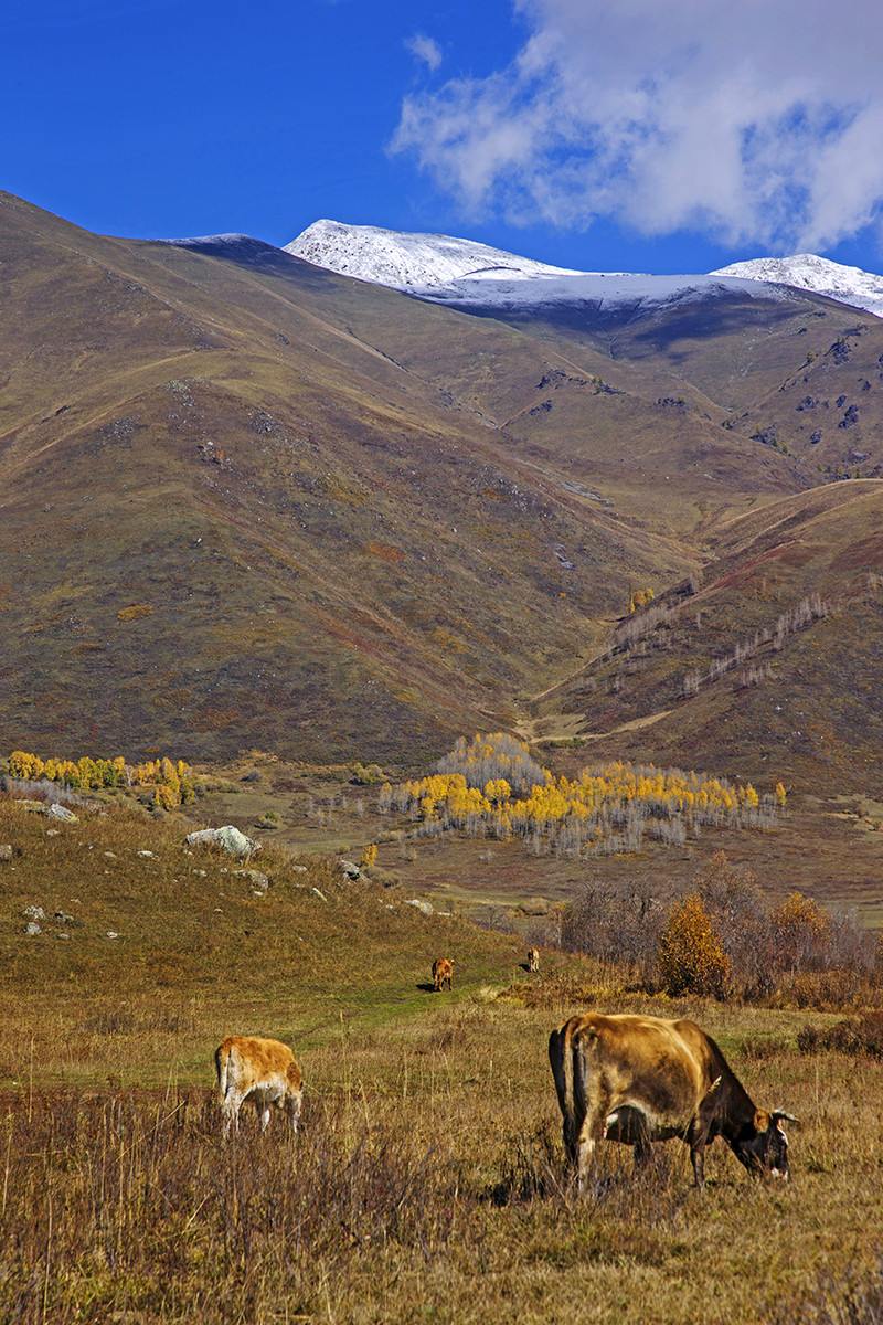 _Y0R1272_1.JPG