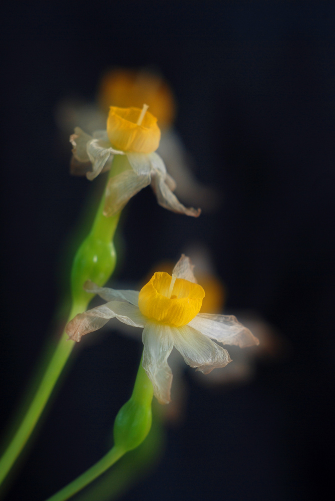 DSC_1507.JPG