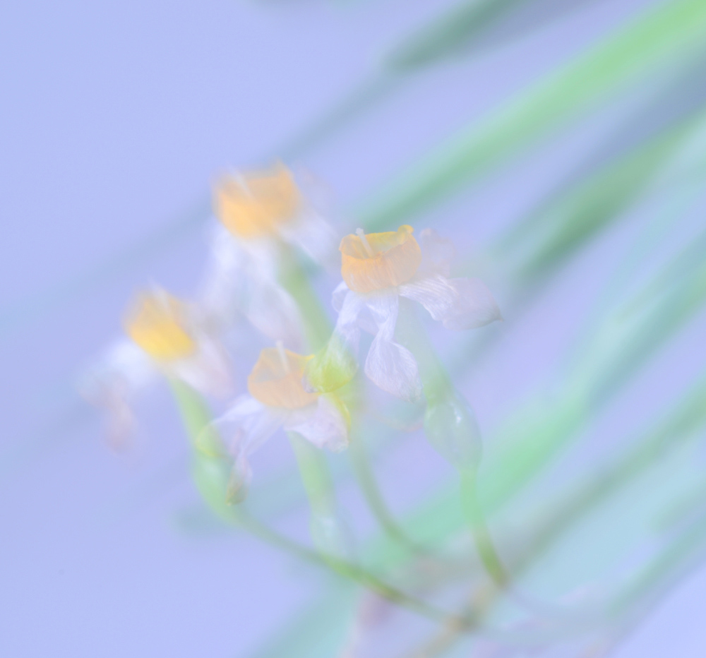 DSC_0161 .jpg