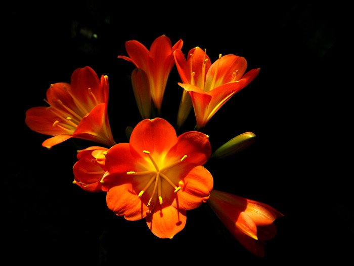 20140104_113954.jpg
