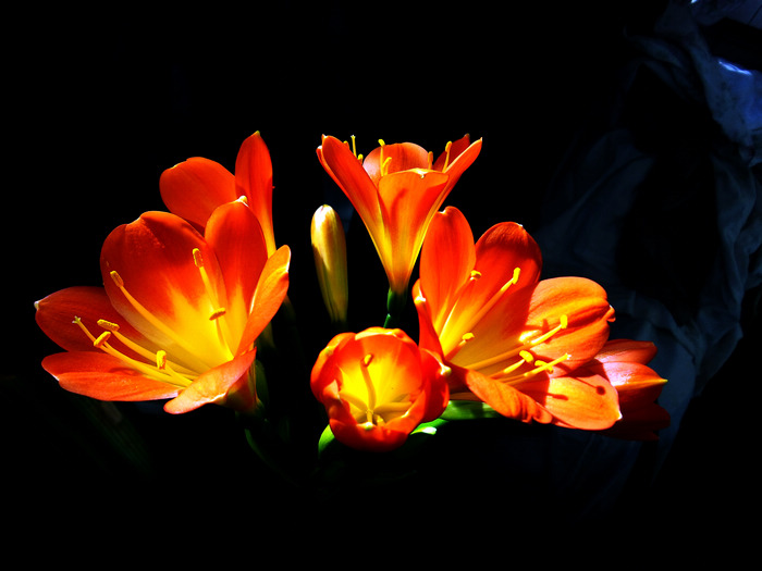 20140104_114100.jpg