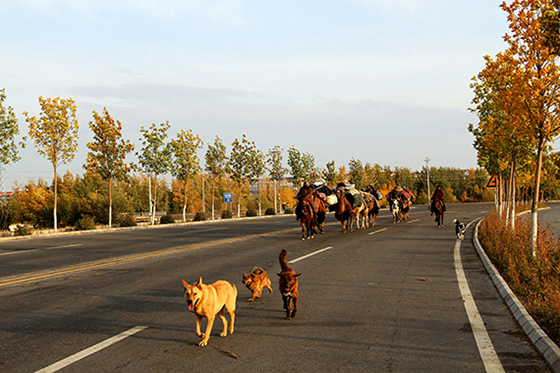 IMG_2870_С.jpg