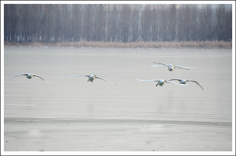 20131228ƽ½Ƭ 014.jpg