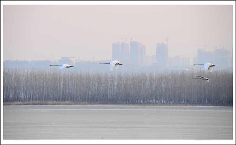 20131228ƽ½Ƭ 20.jpg