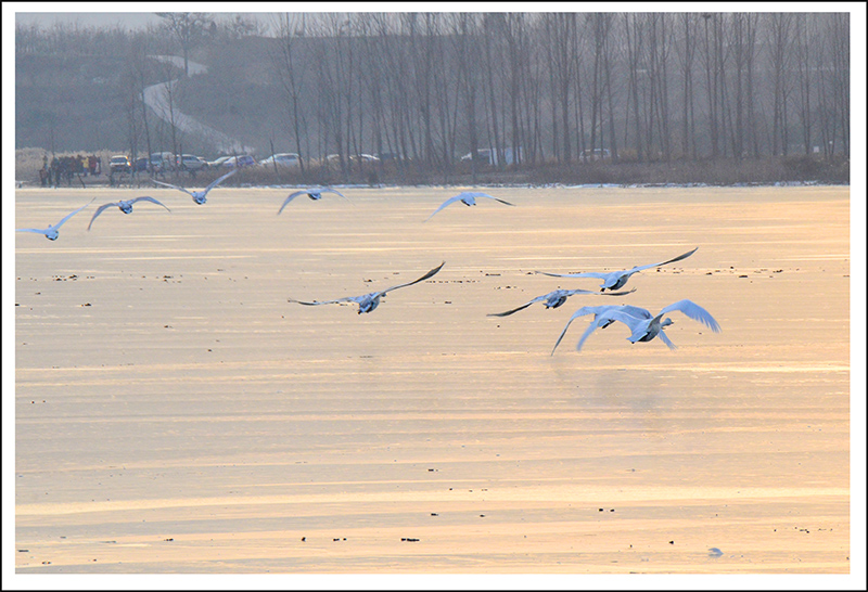 20131228ƽ½Ƭ 29.jpg