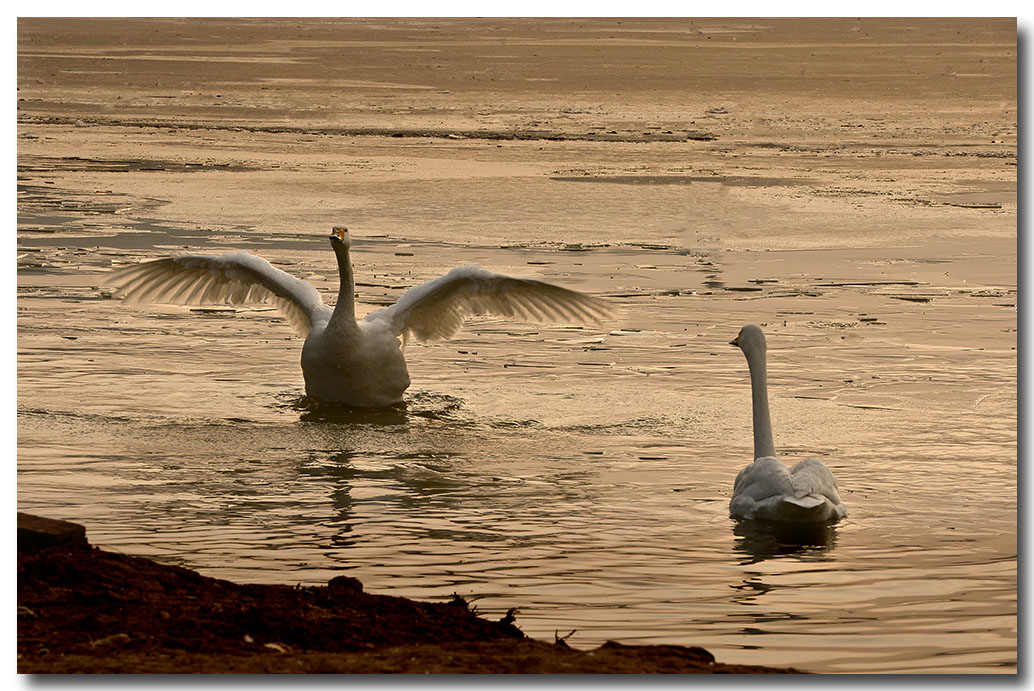 DSC_6577.jpg