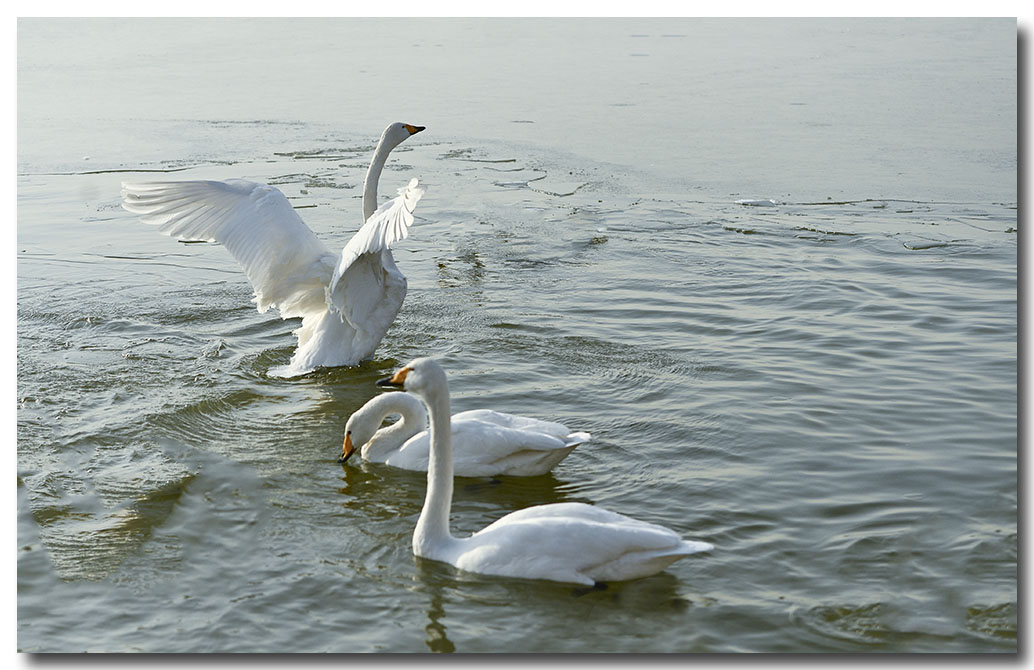 DSC_7170.jpg