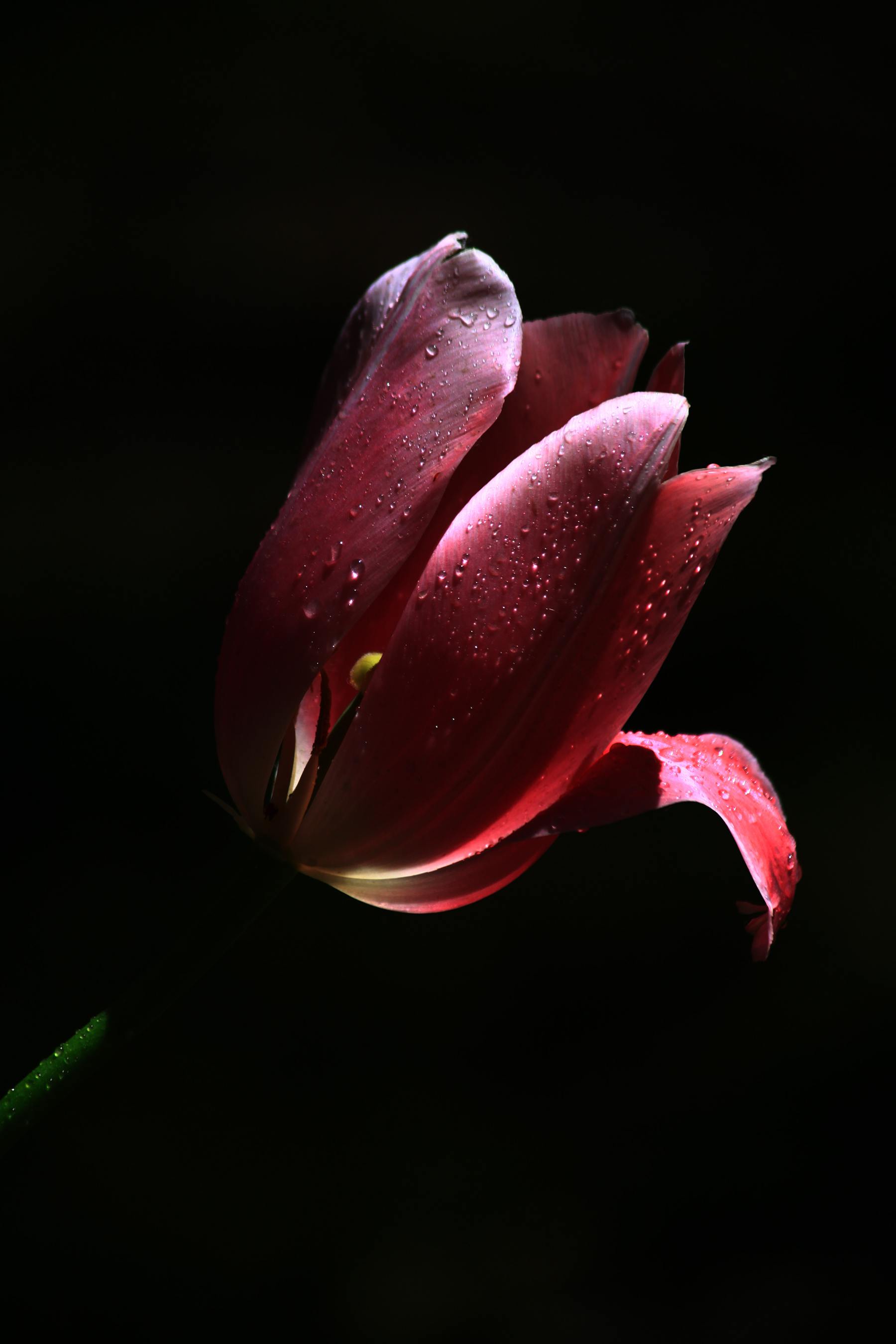 Ƭ 670.jpg