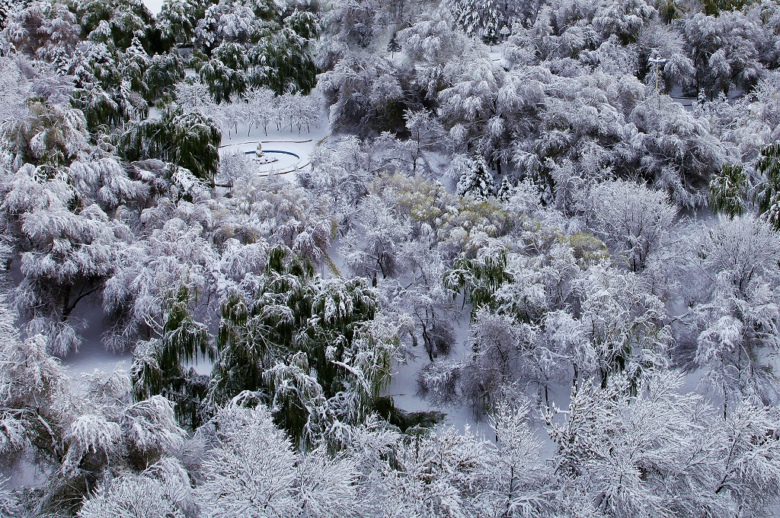 IMG_5255_.jpg