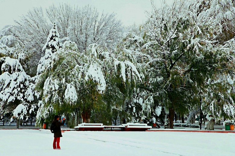 IMG_5196__.jpg