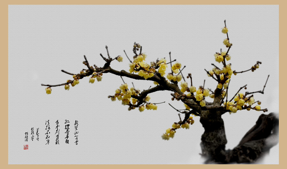 DSC_4079pһy_____.jpg