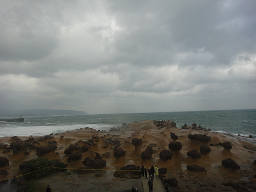 DSC00097_.jpg
