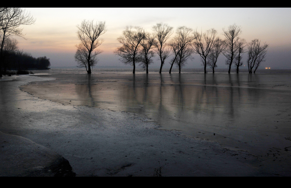 _DSC7263.jpg