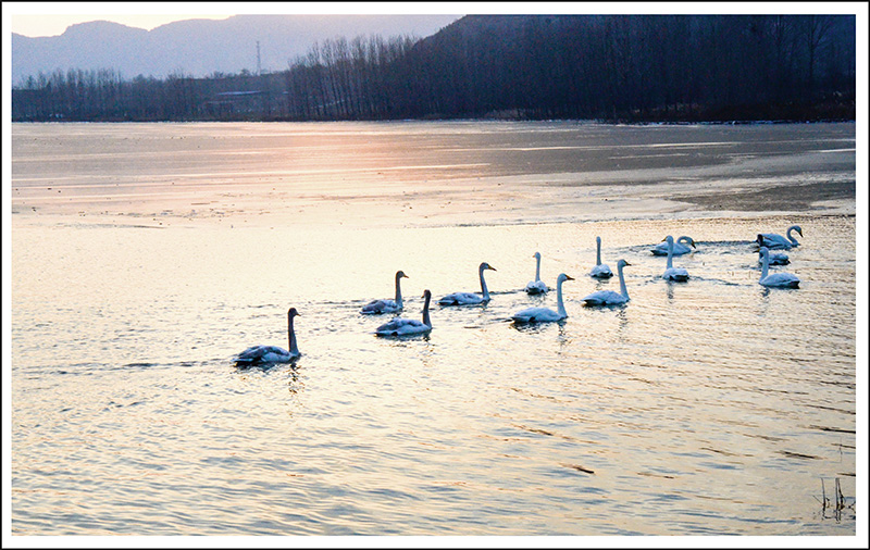 20131228ƽ½Ƭ 2511.jpg