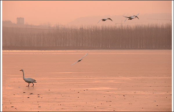 20131228ƽ½Ƭ 3041.jpg