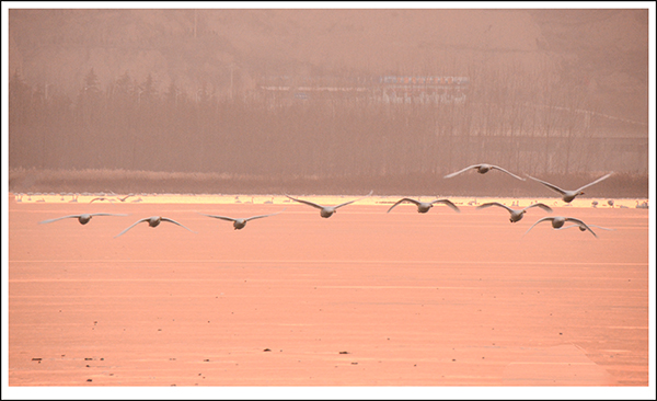 20131228ƽ½Ƭ 2931.jpg