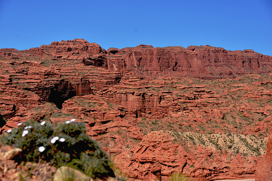 DSC_1696.JPG
