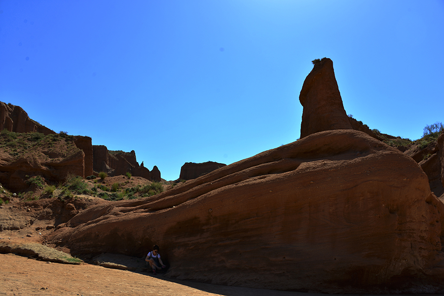 DSC_1702.JPG