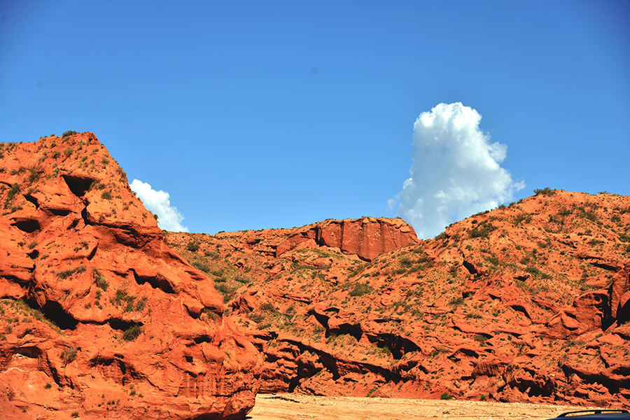 DSC_1705.JPG