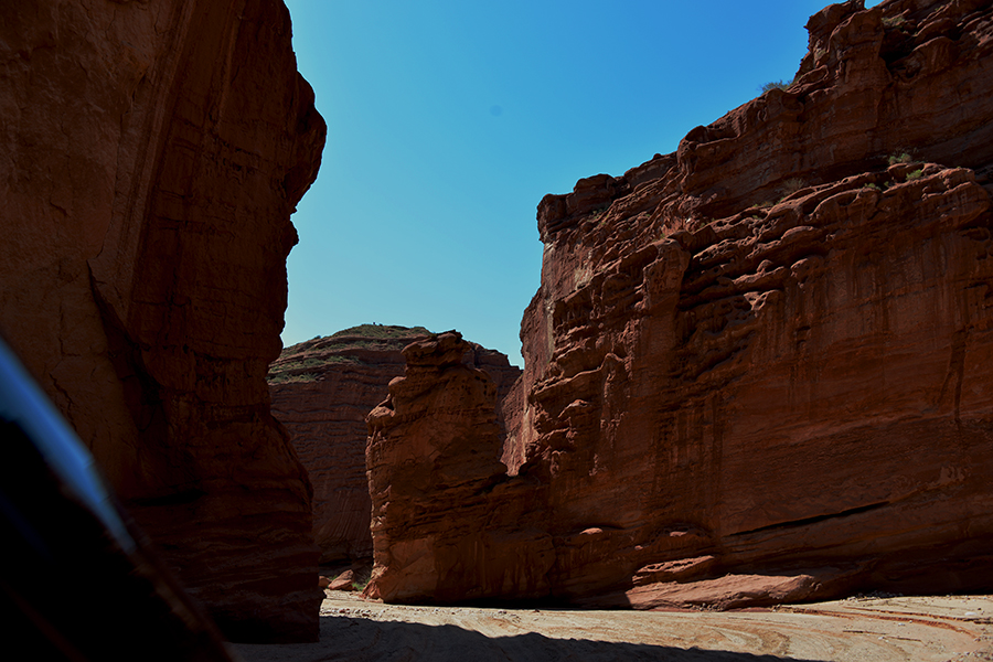 DSC_1716.JPG