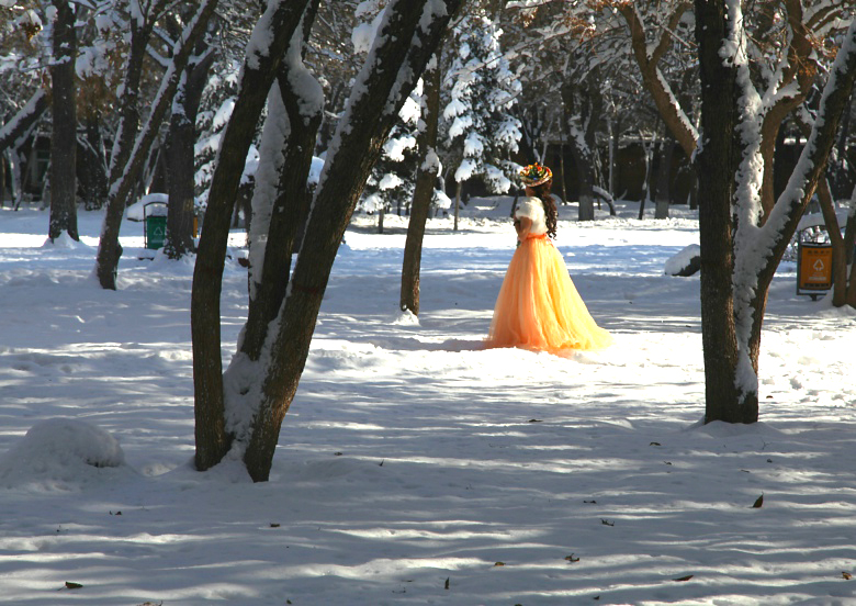 IMG_6037.jpg