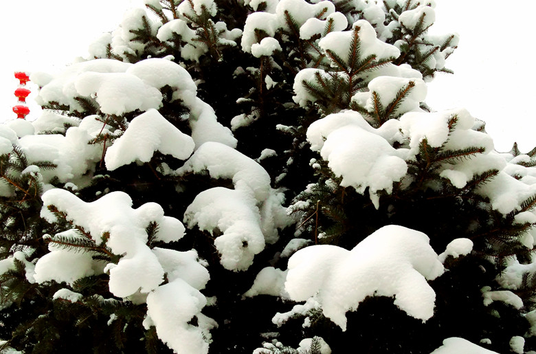 DSC01559_.jpg