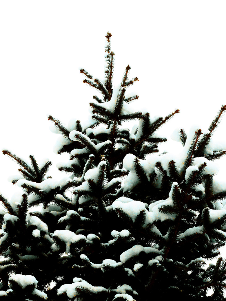 DSC01574_.jpg