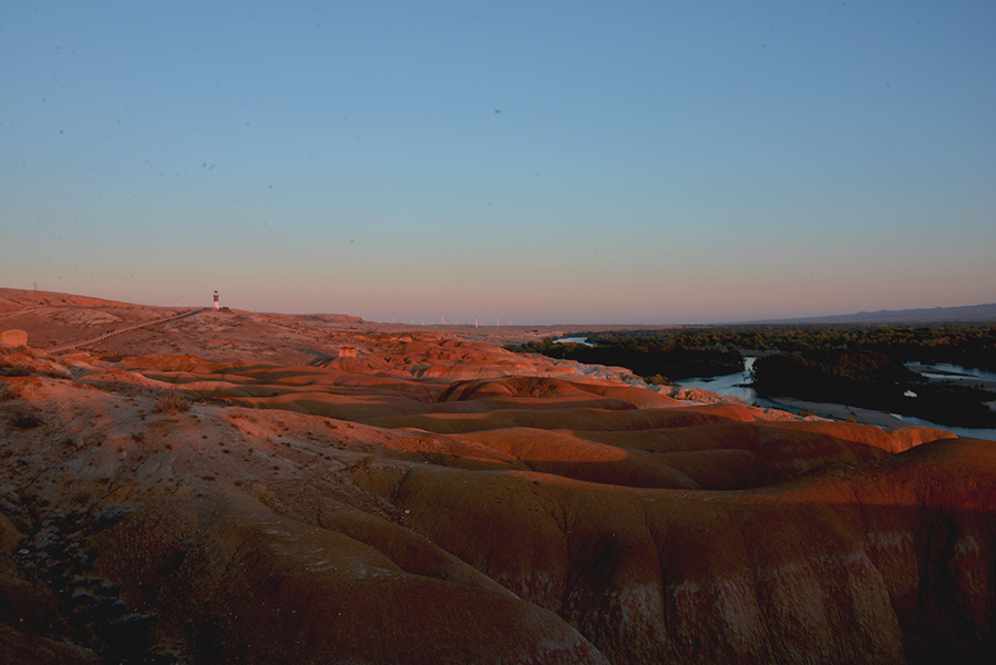 DSC_0265.JPG