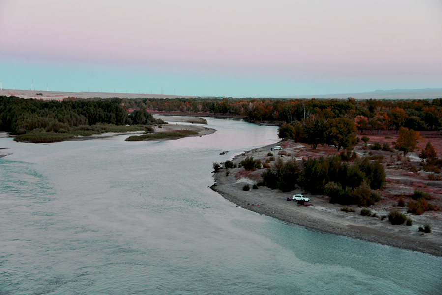 DSC_0312.JPG