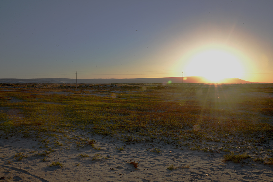 DSC_0328.JPG