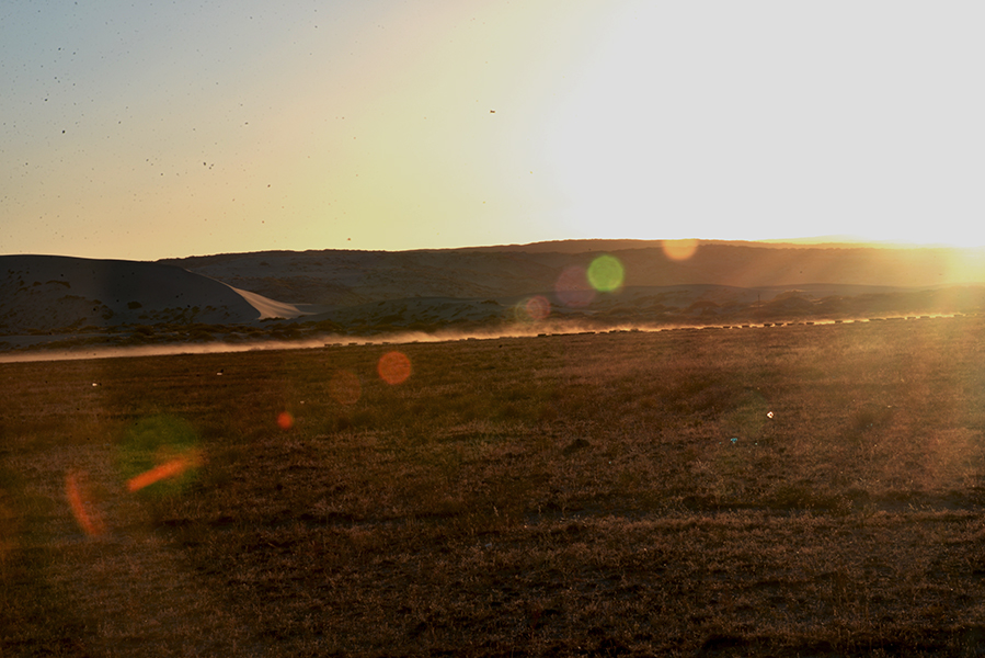 DSC_0334.JPG