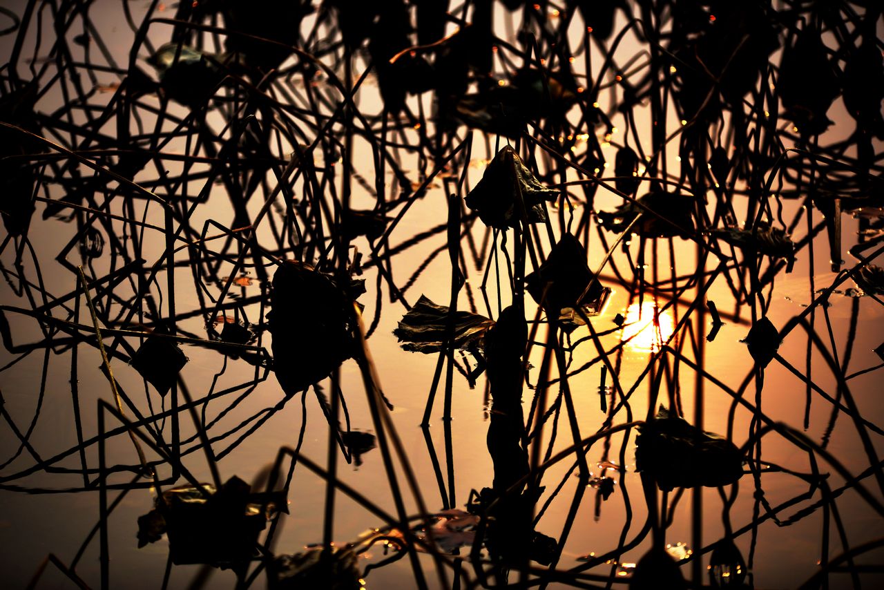 Ƭ 081.jpg