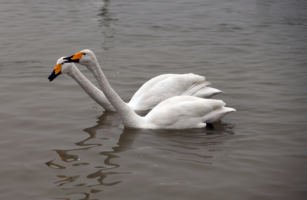 DPP_0095.jpg