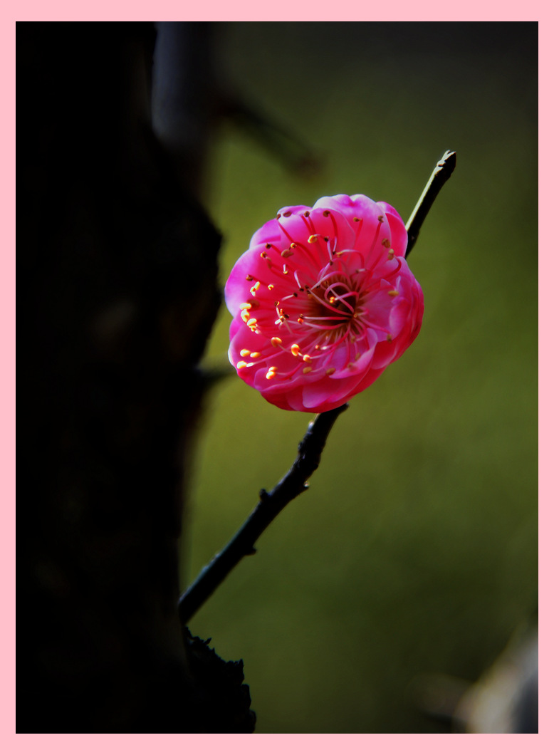 DSC_0010__.jpg