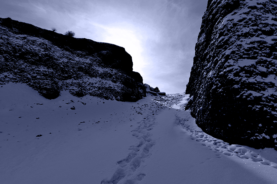 DSC_0142.JPG