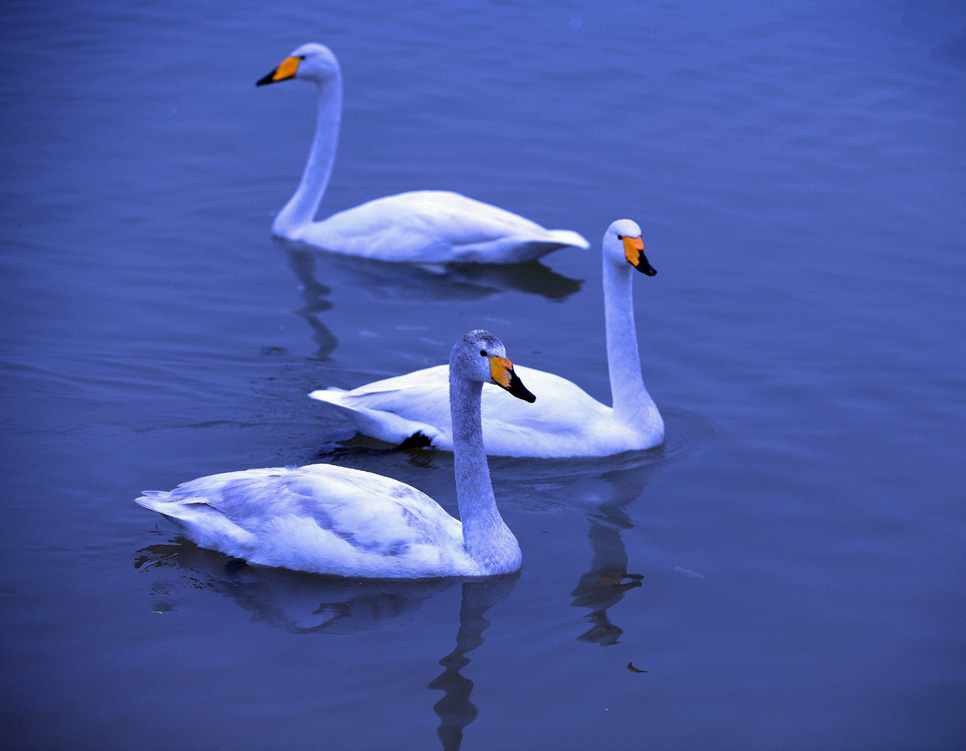 DPP_0084_.jpg