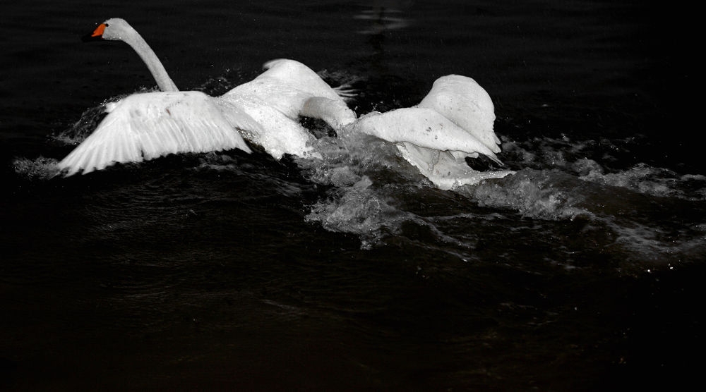 DPP_0124_.jpg