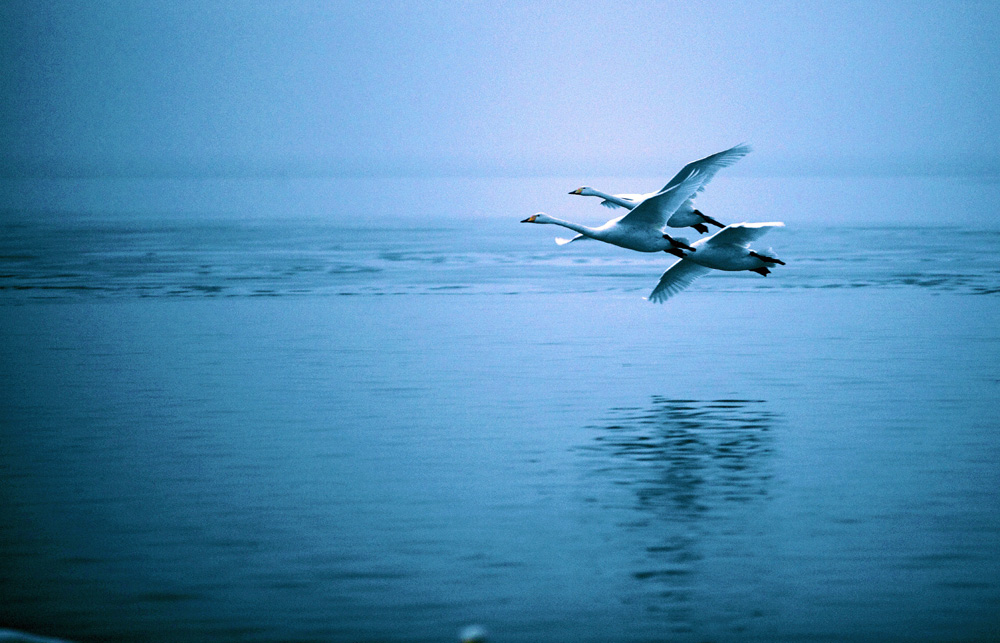 DPP_0245_.jpg