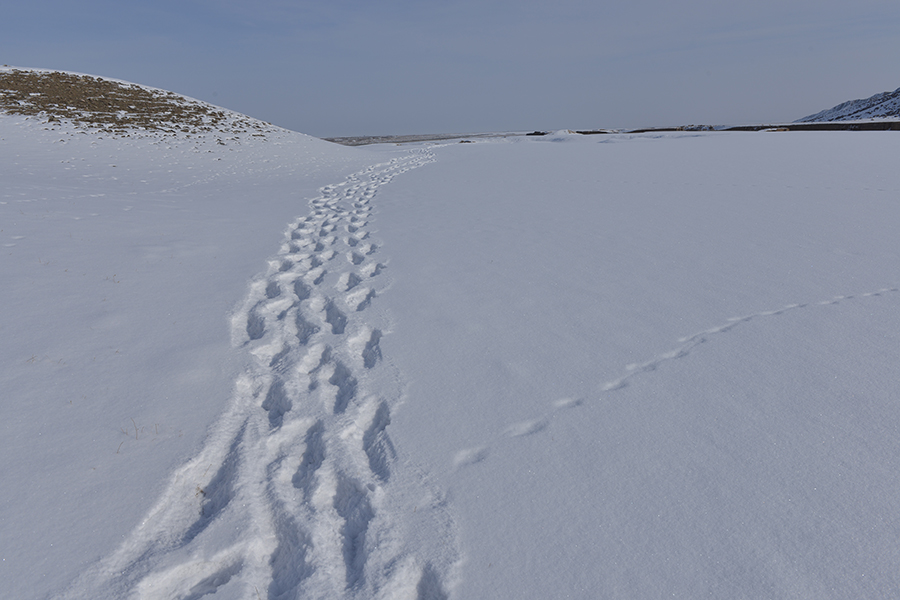 DSC_0134.JPG