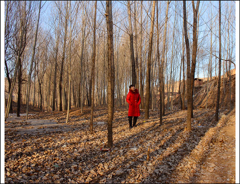 2014122СƬ 1021.jpg
