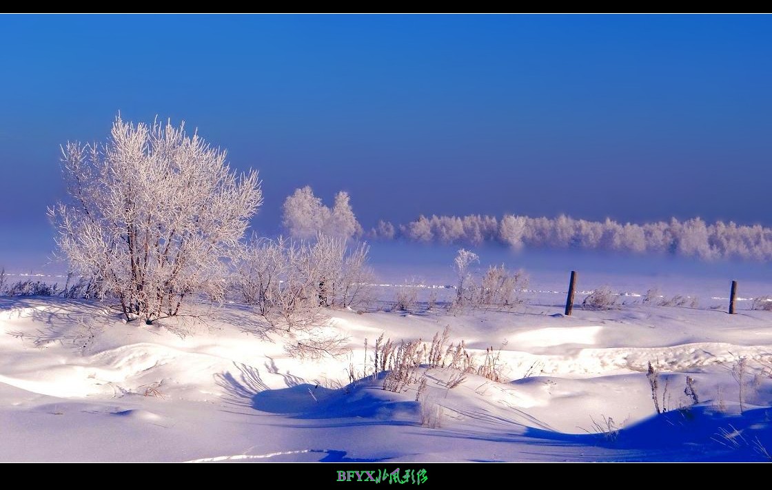 DSC04240_conew4.jpg