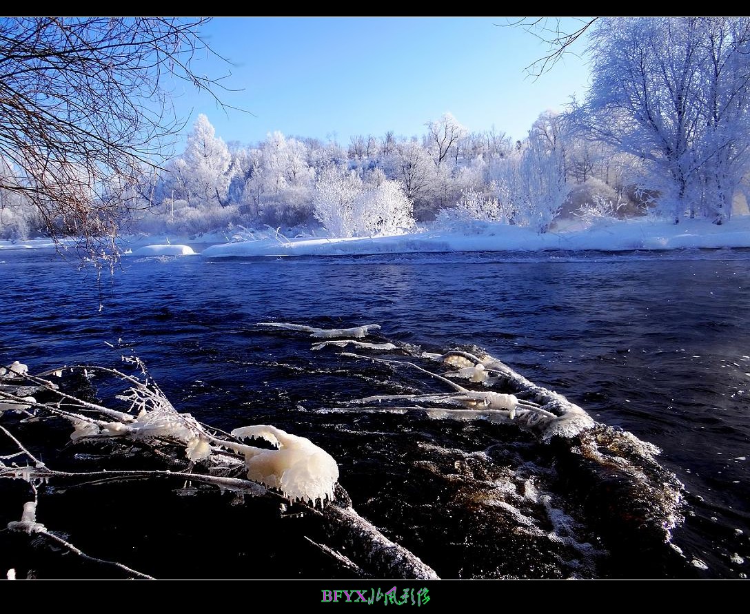 DSC04270_conew1.jpg