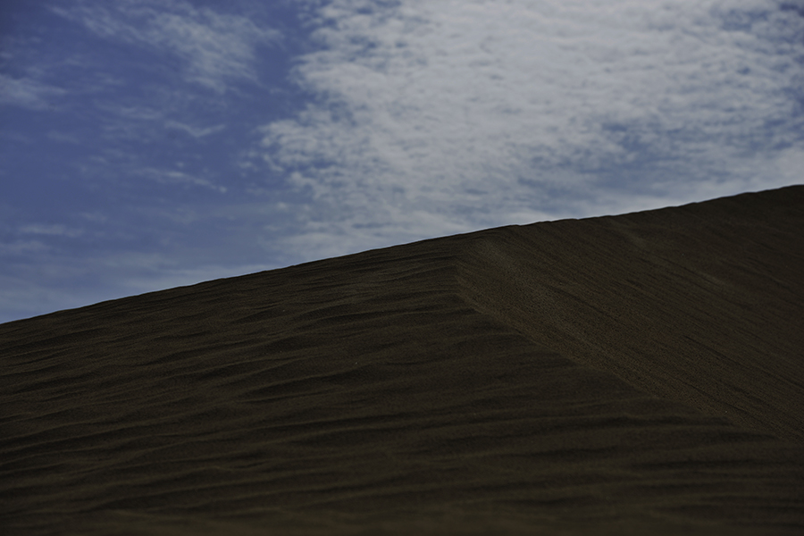 DSC_1160.JPG