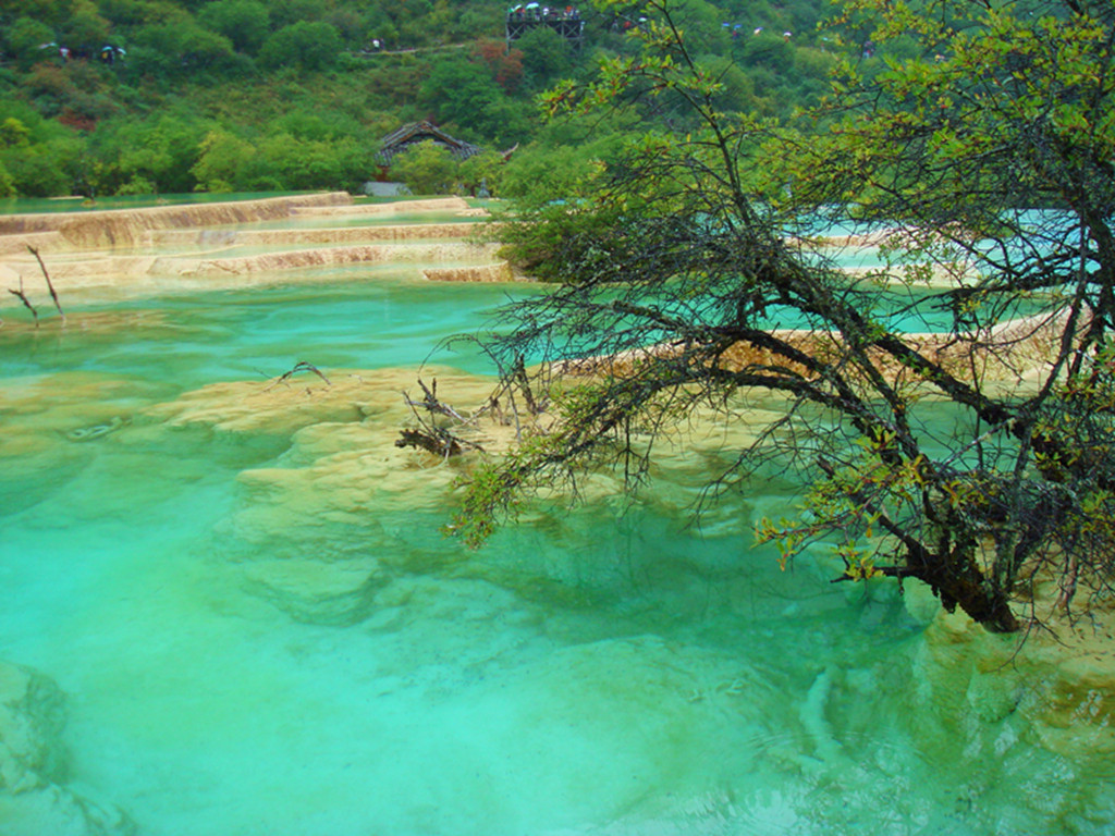 dsc02920_.jpg